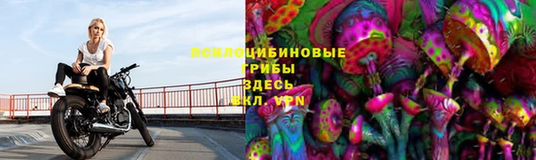 стафф Козловка