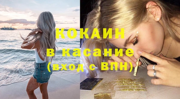 стаф Кодинск