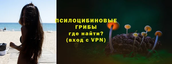 стаф Кодинск