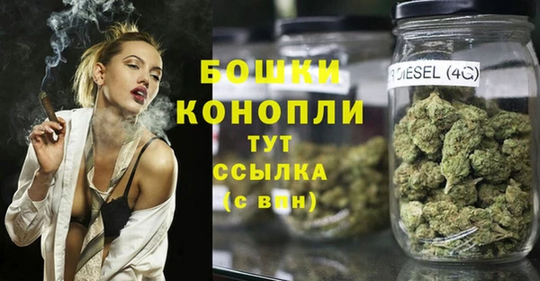 дмт Кинешма