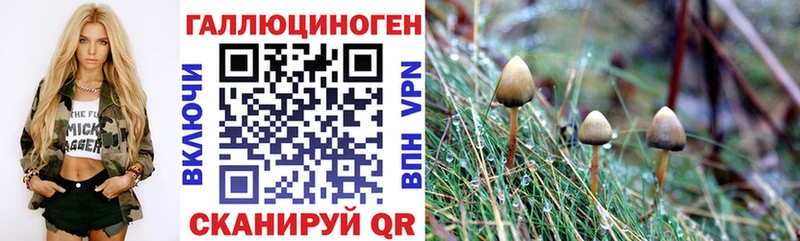 Галлюциногенные грибы Psilocybine cubensis  Малая Вишера 